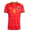 Maillot de football Réplique Belgium Romelu Lukaku #9 Domicile Mondial 2026 Manche Courte
