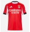 Maillot de football Réplique Benfica Dodi Lukebakio #11 Domicile 2025-26 Manche Courte