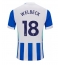 Maillot de football Réplique Brighton Danny Welbeck #18 Domicile 2025-26 Manche Courte