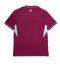 Maillot de football Réplique Burnley Domicile 2026-27 Manche Courte