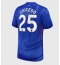 Maillot de football Réplique Chelsea Moises Caicedo #25 Domicile 2025-26 Manche Courte