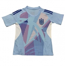 Maillot de football Réplique Espagne Gardien de but Domicile Europe 2024 Manche Courte