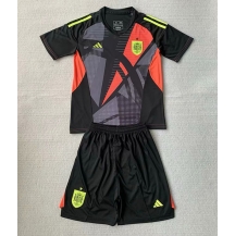 Maillot de football Réplique Espagne Gardien de but Extérieur Enfant Europe 2024 Manche Courte (+ Pantalon court)