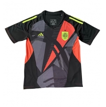Maillot de football Réplique Espagne Gardien de but Extérieur Europe 2024 Manche Courte