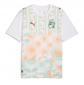 Maillot de football Réplique Ivory Coast Extérieur Mondial 2026 Manche Courte