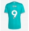 Maillot de football Réplique Liverpool Alexander Isak #9 Troisième 2025-26 Manche Courte