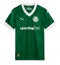 Maillot de football Réplique Palmeiras Domicile 2025-26 Manche Courte