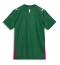 Maillot de football Réplique Palmeiras Domicile 2026-27 Manche Courte