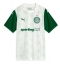 Maillot de football Réplique Palmeiras Extérieur 2025-26 Manche Courte