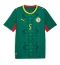 Maillot de football Réplique Senegal Idrissa Gueye #5 Extérieur Mondial 2026 Manche Courte