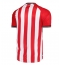 Maillot de football Réplique Sunderland Domicile 2025-26 Manche Courte