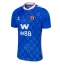 Maillot de football Réplique Sunderland Extérieur 2025-26 Manche Courte