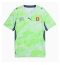 Maillot de football Réplique Switzerland Extérieur Mondial 2026 Manche Courte