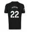 Maillot de football Réplique Tottenham Hotspur Brennan Johnson #22 Extérieur 2025-26 Manche Courte