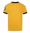 Maillot de football Réplique Wolves Domicile 2025-26 Manche Courte