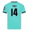 Maillot de football Réplique Wolves Tolu Arokodare #14 Extérieur 2025-26 Manche Courte